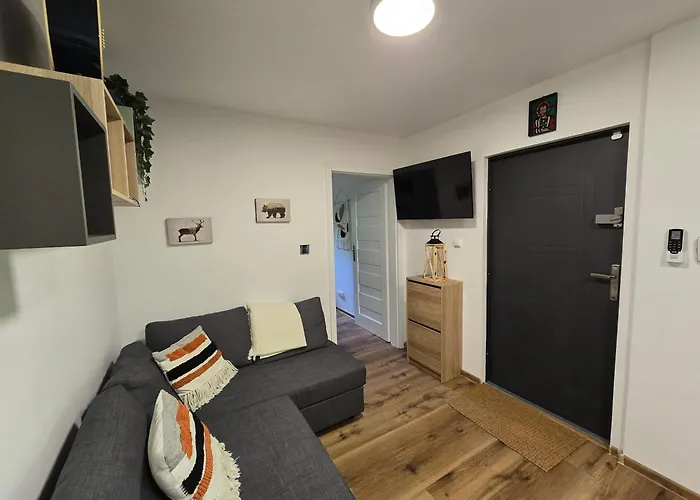 Nad Potokiem בית נופש